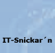IT-Snickarn